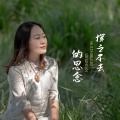 王爱华 - 挥之不去的思念