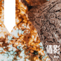 陈冬霖 - 倩影