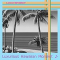 Luxurious Hawaiian Moment ♪