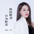 大美 - 我的眼泪只为你流