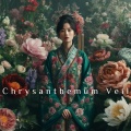 Chrysanthemum Veil (Qi of the Ancient Bloom)