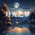 安静夜晚 (电钢琴)