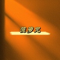 DJHH - 菠萝咒