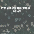 过渡客 - 在加纳共和国离婚