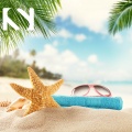 Sonital、Misael Luciano、Luzonic Entertainment, LLC - Summer at the Beach