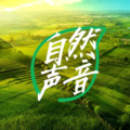 大自然的声音-愉悦心性