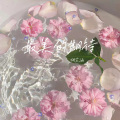 胡芷涵 - 最美的期待