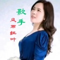 不如不见—风雨红叶