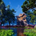 Relaxation Area - House in the Forest