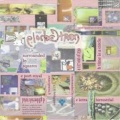 Christopher Grant Lash - Port Royal