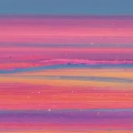 新蜜蜂 - 开幕专用