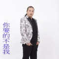 胡云鹏 - 你要的不是我