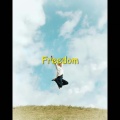 Steve D - Freedom