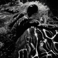 Koldwaltz - Night Crawl