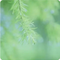 下雨声-治愈系催眠白噪音