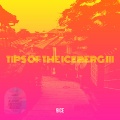 Tip Of The Iceberg (III)