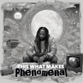 Phineus Phenomenal - Go Witness