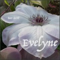 Bar Scott - Evelyne