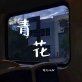 婧钰儿JY - 青花