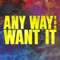 Any Way You Want It (Epic Version)