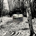 Desolant - BOOK (Read while listening)