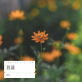 刘雪宁 - 菖蒲