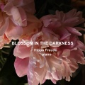 在黑暗中盛开 Blossom in the Darkness