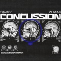 Concussion (Remix|Explicit)