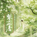 陶九 - 梨花香