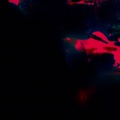 Young J. - THERAPY (Remastered 2024|Explicit)