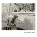 Julien Marchal - Insight XIV