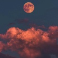 EK RAAT AUR (feat. Shazil Mall)