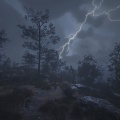 NORDIC NATURE、Wish on the Beat、Royal Rain - Soothing Thunder for Spiritual Meditation