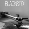 Blackbird (Originally Performed by Beyonce) (Instrumental)