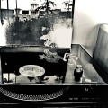 Cat & Dog - Noisish