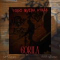 Gorila - Outro