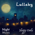 Sleepy Owls、Night Music - Lullaby