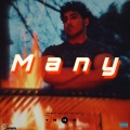 Many (Explicit)