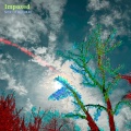 Nick O'Loughlin - Imposed