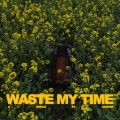 HACKER - Waste My Time