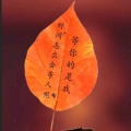 蓬特 - 你怎么舍得我难过 (Live)