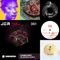 Leslie JayCee - Fell In Luv (Leslie JayCee remix) (Remix)