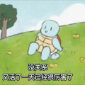 肉粽 - 变