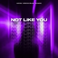 Contiez、Christian Meldal、MAASSIVE - Not Like You