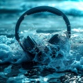 Rhythms of the Ocean: Marine Beats