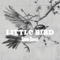 Little Bird