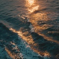 Enfoque Oceánico: Flujo De Música Para Estudiar