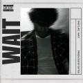 Wait (Explicit)