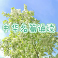 玉竹教学 - 望洞庭 唐 刘禹锡_缩混