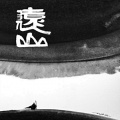茶季杨 - 致终将逝去的青春